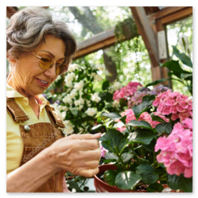 Spaziergang im Garten bei Sonne